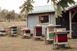 Holiday house with landscape garden