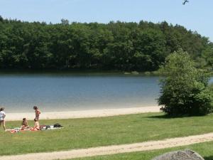 Mobil-home 27m² à Saint-Gérons avec terrasse - API-1-52-1316