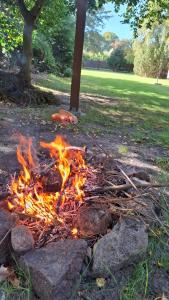 Zielony Zakątek Dźwirzyno Noclegi nad morzem