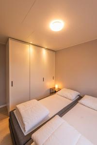 Cube XL 89 I 6 persoons chalet in Zennewijnen