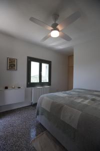 Admonis - Home in the olive grove