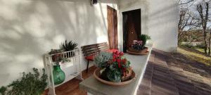 Appartamento con giardino