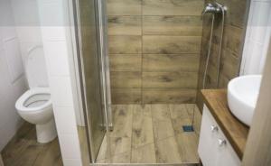 Apartment studio on Akademmistechko