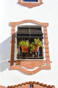 Casa Dolores la peluquera