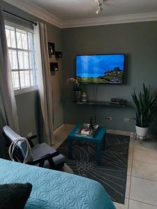 Independent, central studio Apt3-A