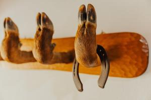 Refúgio da Cancela - Arouca Stay