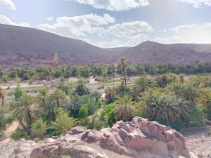 Auberge Restaurant TISSILI " Oasis de Fint"