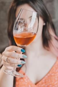 Villa Vinicolla - Refúgio & Vinícola Boutique com Degustações