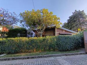 Bartimeo Cabin, a peaceful space in Apaneca