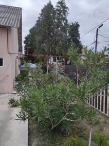 Apartment Temo