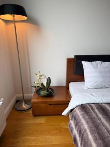 Apartament Sztuki Piękne z bezpłatnym garażem