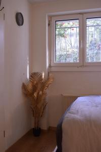 Charming studio in Biel private kitchen & toilet