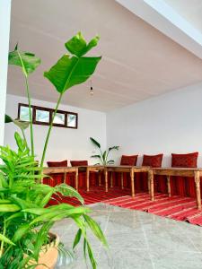 Hakuna Matata Guest House