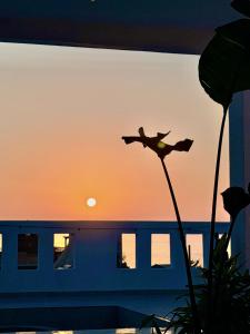 Hakuna Matata Guest House
