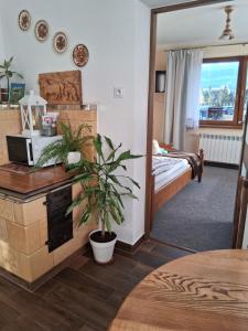 Apartament Gąsienicówka