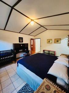 Forest Cabin - Nature and Tranquility