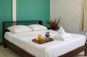 Ilan Ilan Tortuguero