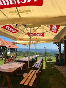 Šebovina Jelova gora