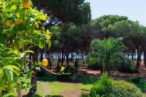 Villa Gioia Tranquil Hideaway Beach Cottage img76