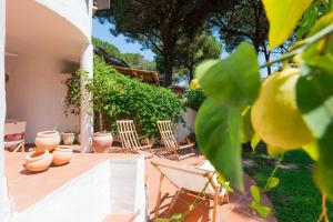 Villa Gioia Tranquil Hideaway Beach Cottage img83