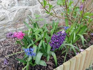 Jolie maison en pierres avec son jardin bucolique