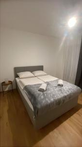 Aurora Apartment