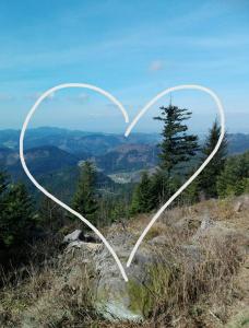 Hirzighof Schwarzwald mit Panoramablick