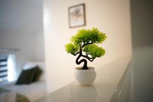 The Crescent Townhouse Ensuite Sleeps 3