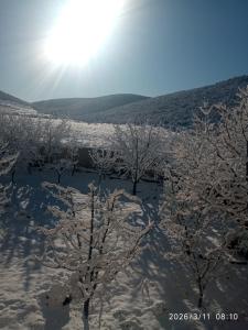 Appartement familial propre et confortable avec jardin, terrasse et vue sur les montagnes-Réservé aux familles
