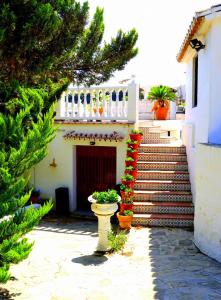 Suite in Finca Molino in Almayate with Pool, Sea Views, Family Touch & Dog Madness