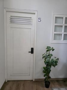 Quijote Chill w AC & Kitchen in Laureles