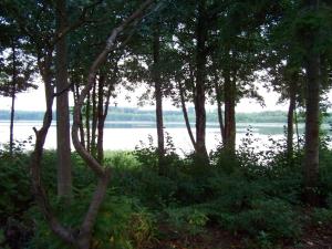 Mobile Home im Ferienpark mit Seezugang