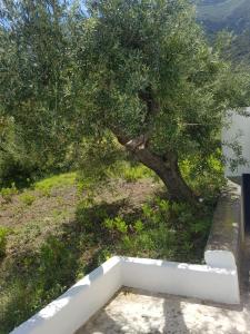 Cugnimuzzo