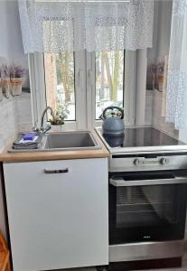 Niezależny apartament przy Parku Zdrojowym 667-666-609