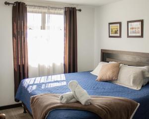 Petápolis 2 - Apartamento en el centro de la ciudad - Zona 12 de la Ciudad de Guatemala