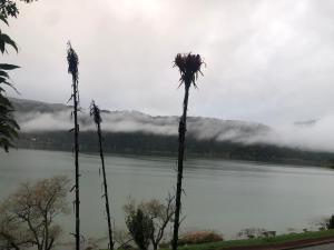 Furnas Lake Cottage