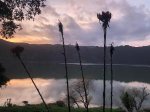 Furnas Lake Cottage