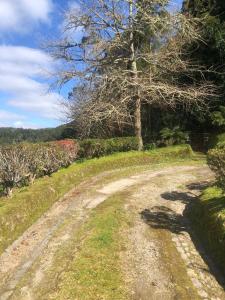 Furnas Lake Cottage