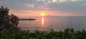 Antonias house on the beach