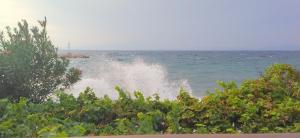 Antonias house on the beach