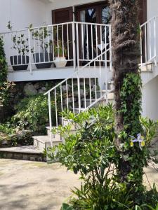 Cozy green garden near the sea