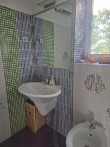 Cozy green garden near the sea