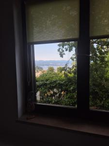 Cozy green garden near the sea