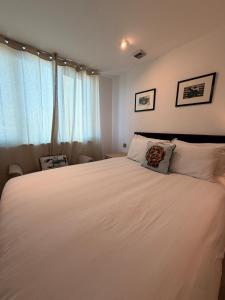 VIP apartment paddington