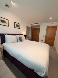 VIP apartment paddington