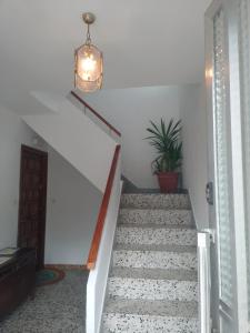 CASA Lia
