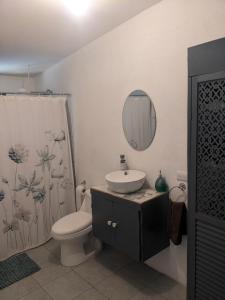 The Paradise Jungle Studio