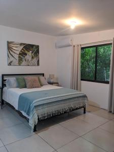 The Paradise Jungle Studio