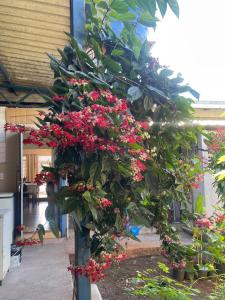 Casa Flora Foz for 6 people