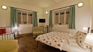 One-Bedroom Apartment room in Apartmány V Podzámčí